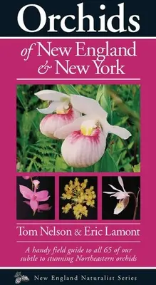 Orchidee Nowej Anglii i Nowego Jorku - Orchids of New England & New York