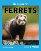 Moje ulubione zwierzę: Fretki - My Favorite Pet: Ferrets