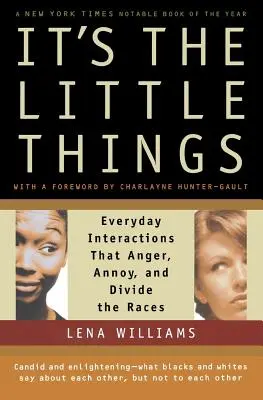 Małe rzeczy: Codzienne interakcje, które złoszczą, denerwują i dzielą rasy - It's the Little Things: Everyday Interactions That Anger, Annoy, and Divide the Races
