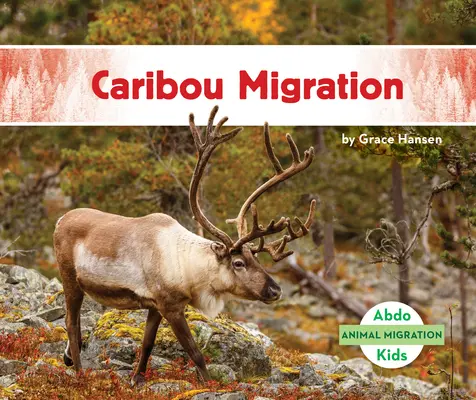 Migracja karibu - Caribou Migration