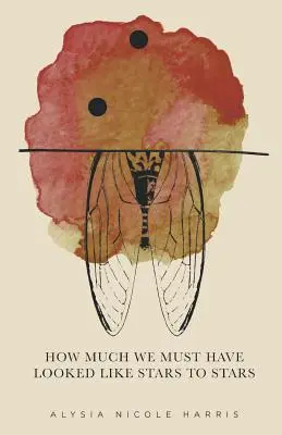 Jak bardzo musieliśmy wyglądać jak gwiazdy dla gwiazd: Zwycięzca serii New Women's Voices 2015 - How Much We Must Have Looked Like Stars To Stars: Winner of the 2015 New Women's Voices Series