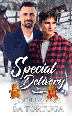 Przesyłka specjalna: A Wrecked Holiday Novel - Special Delivery: A Wrecked Holiday Novel