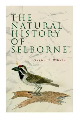 Historia naturalna Selborne - The Natural History of Selborne