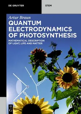 Elektrodynamika kwantowa fotosyntezy - Quantum Electrodynamics of Photosynthesis