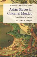 Azjatyccy niewolnicy w kolonialnym Meksyku - Asian Slaves in Colonial Mexico