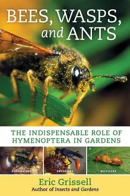 Pszczoły, osy i mrówki: Niezastąpiona rola błonkoskrzydłych w ogrodach - Bees, Wasps, and Ants: The Indispensable Role of Hymenoptera in Gardens