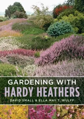 Ogrodnictwo z odpornymi wrzosami - Gardening with Hardy Heathers