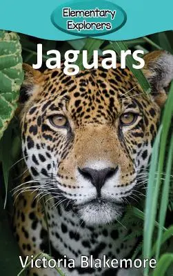 Jaguary - Jaguars