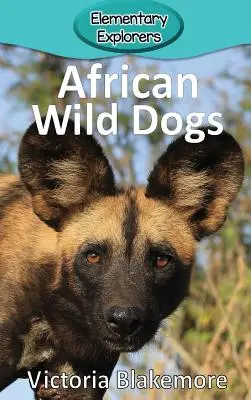 Afrykańskie dzikie psy - African Wild Dogs
