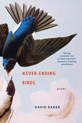 Niekończące się ptaki: Wiersze - Never-Ending Birds: Poems