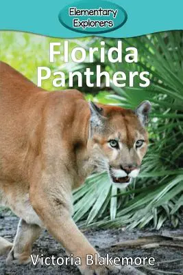 Pantery z Florydy - Florida Panthers