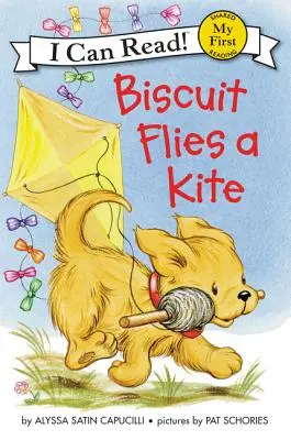Biszkopt puszcza latawiec - Biscuit Flies a Kite
