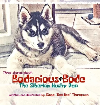 Bodacious Bode - szczeniak rasy husky syberyjski - Bodacious Bode - The Siberian Husky Pup