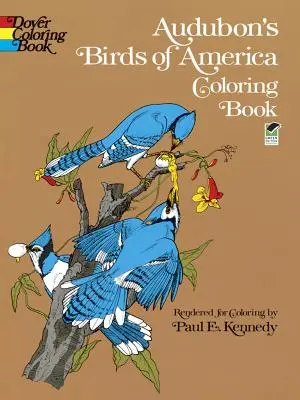 Kolorowanka z ptakami Ameryki według Audubona - Audubon's Birds of America Coloring Book