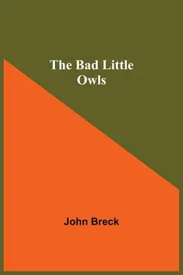 The Bad Little Owls