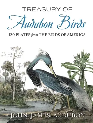 Skarbiec ptaków Audubona: 130 ilustracji ptaków Ameryki - Treasury of Audubon Birds: 130 Plates from the Birds of America