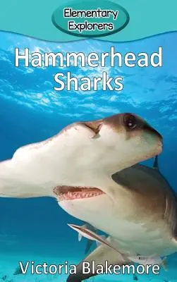 Rekiny młoty - Hammerhead Sharks