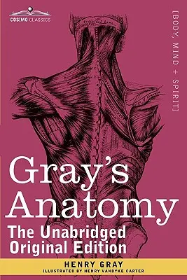 Gray's Anatomy: Opisowa i chirurgiczna - Gray's Anatomy: Descriptive and Surgical