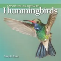 Odkrywanie świata kolibrów - Exploring the World of Hummingbirds