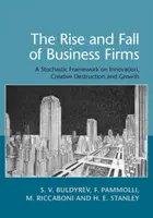 Powstanie i upadek firm biznesowych: Stochastyczne ramy innowacji, twórczej destrukcji i wzrostu - The Rise and Fall of Business Firms: A Stochastic Framework on Innovation, Creative Destruction and Growth