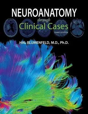 Neuroanatomia poprzez przypadki kliniczne - Neuroanatomy Through Clinical Cases