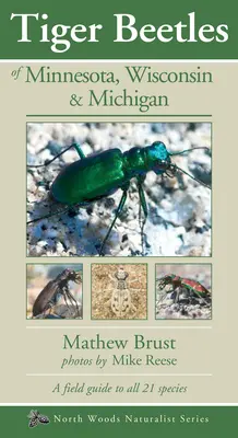 Chrząszcze tygrysie z Minnesoty, Wisconsin i Michigan - Tiger Beetles of Minnesota, Wisconsin & Michigan