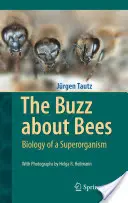 The Buzz about Bees: Biologia superorganizmu - The Buzz about Bees: Biology of a Superorganism