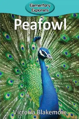 Pawie - Peafowl