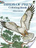 Kolorowanka Ptaki drapieżne - Birds of Prey Coloring Book