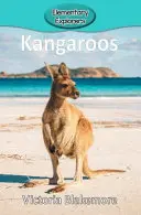 Kangury - Kangaroos