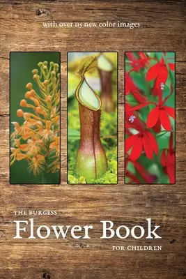 The Burgess Flower Book z nowymi kolorowymi zdjęciami - The Burgess Flower Book with new color images