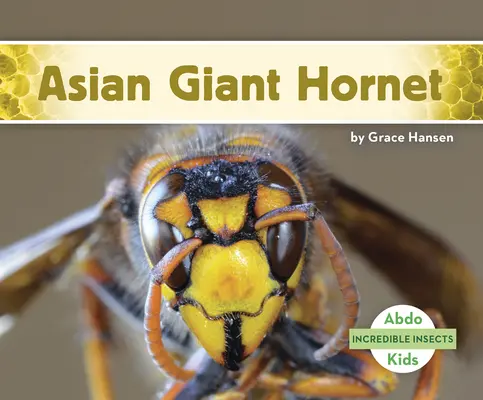 Azjatycki szerszeń olbrzymi - Asian Giant Hornet