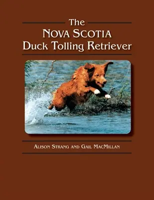 Duck Tolling Retriever z Nowej Szkocji - The Nova Scotia Duck Tolling Retriever