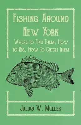 Wędkarstwo wokół Nowego Jorku - Gdzie je znaleźć, jak łowić, jak łowić - Fishing Around New York - Where to Find Them, How to Rig, How To Catch Them