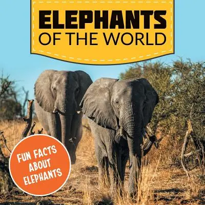 Słonie świata: Zabawne fakty o słoniach - Elephants of the World: Fun Facts About Elephants