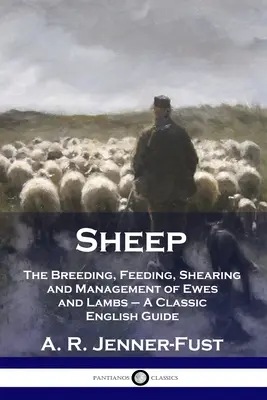 Owce: Hodowla, karmienie, strzyżenie i zarządzanie owcami i jagniętami - klasyczny angielski przewodnik - Sheep: The Breeding, Feeding, Shearing and Management of Ewes and Lambs - A Classic English Guide