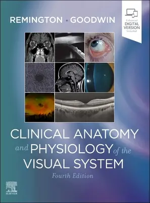 Anatomia kliniczna i fizjologia układu wzrokowego - Clinical Anatomy and Physiology of the Visual System