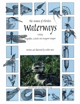 Natura dróg wodnych Florydy: W tym ważki, pałki i lucjan mangrowy - The Nature of Florida's Waterways: Including Dragonflies, Cattails, and Mangrove Snapper