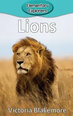 Lwy - Lions