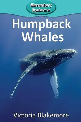 Wieloryby humbaki - Humpback Whales