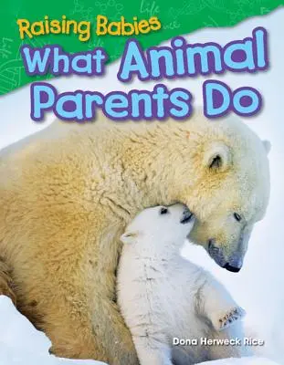 Wychowywanie dzieci: Co robią rodzice zwierząt - Raising Babies: What Animal Parents Do