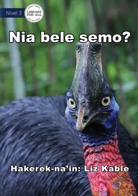 Czy może latać? - Nia bele semo? - Can It Fly? - Nia bele semo?