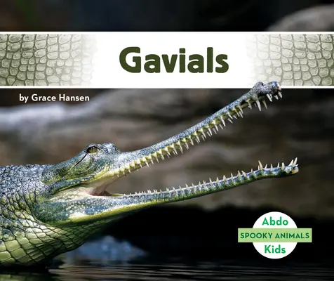 Gawiale - Gavials