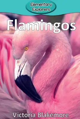 Flamingi - Flamingos