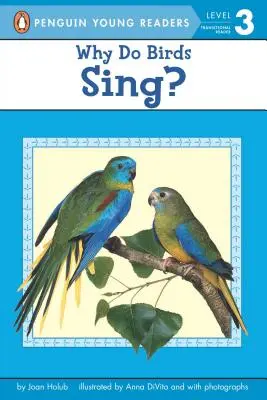 Dlaczego ptaki śpiewają? - Why Do Birds Sing?