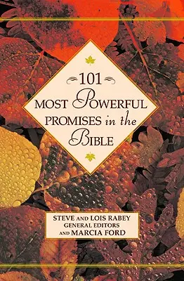 101 najpotężniejszych obietnic w Biblii - 101 Most Powerful Promises in the Bible