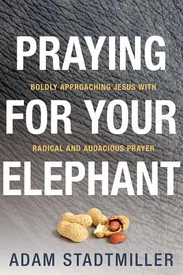Modlitwa za słonia: Odważne zbliżanie się do Jezusa z radykalną i zuchwałą modlitwą - Praying for Your Elephant: Boldly Approaching Jesus with Radical and Audacious Prayer