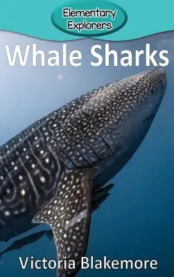 Rekiny wielorybie - Whale Sharks