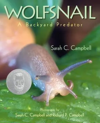 Wilczy ślimak: Podwórkowy drapieżnik - Wolfsnail: A Backyard Predator