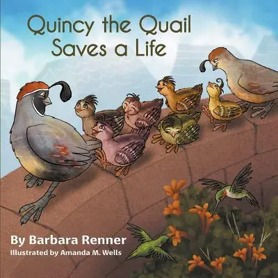 Przepiórka Quincy ratuje życie - Quincy the Quail Saves a Life